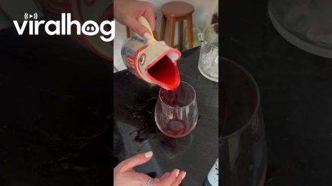 Handmade Fish Pitcher Spills Everywhere || ViralHog