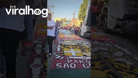 Dog Sleeping in the Center of Eucharist Salt Carpet || ViralHog