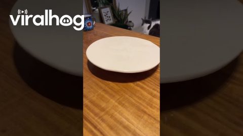 Ceramic Plate Design Tries to Hold Up || ViralHog