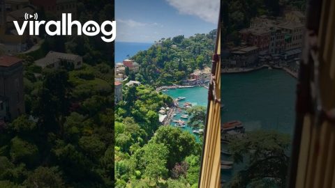 View of Portofino || ViralHog