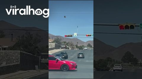 Wishing Upon a Floating Bounce House || ViralHog