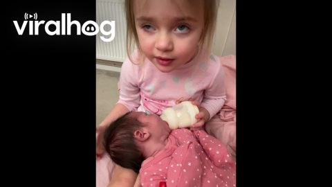 Blind Girl Feeling Her New Baby Sister || ViralHog