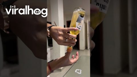 Beer Freezes Instantly || ViralHog