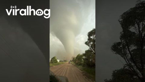 Dickens Nebraska Tornado 16 June 2025 || ViralHog