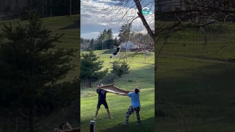 Kids Help Rescue Cat In A Tree || ViralHog