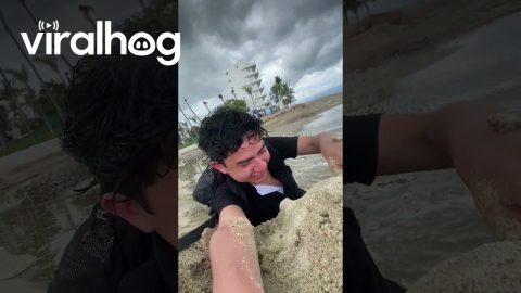 Sand Wall Sinking In Slow Motion || ViralHog