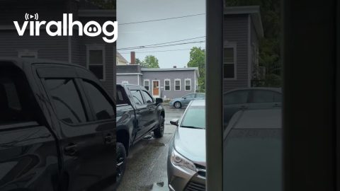 When You Need to Move a Couch on a Budget || ViralHog