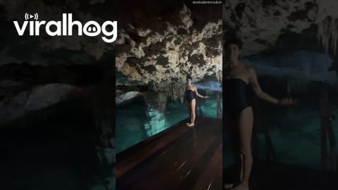 Get to Know the Mirado Cenote With Us || ViralHog