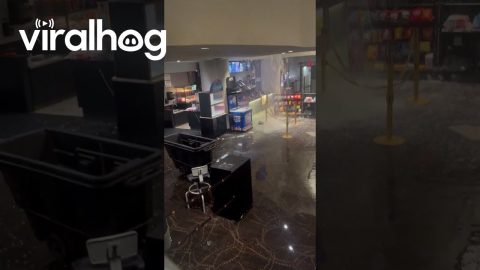 Flooding in AMC Lincoln Square || ViralHog