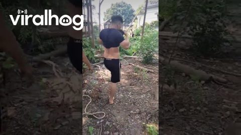 Cutting Down Tree and Tree Falls The Wrong Way || ViralHog