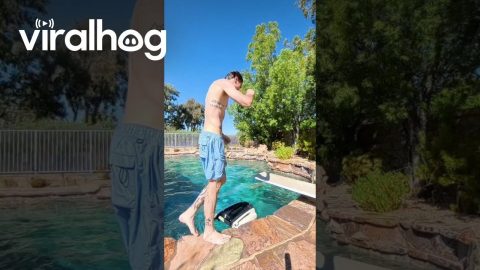 Redemption After Diving Board Fail || ViralHog