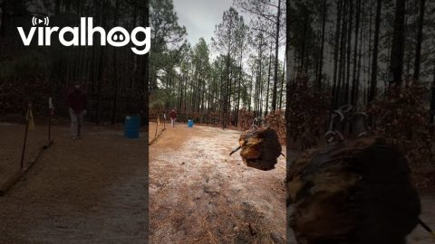Axe Throwing in the Rain || ViralHog
