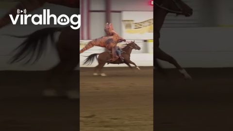 Barrel Racing T-Rex || ViralHog