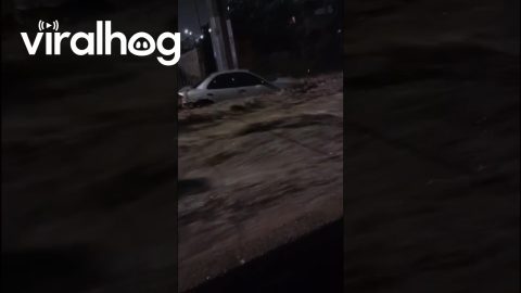 Flash Flooding in Juárez, Mexico || ViralHog