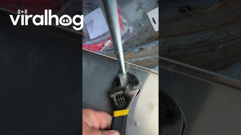 There's a Lot of Threads || ViralHog