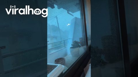 Balcony Fridge Goes Bye Bye || ViralHog