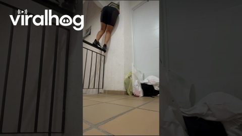 Shimmying Through a Tiny Window to Retrieve Keys || ViralHog