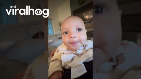 Baby Hates Daddy's Accent || ViralHog