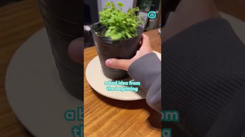 Ceramic Plate Design Tries to Hold Up || ViralHog Shorts