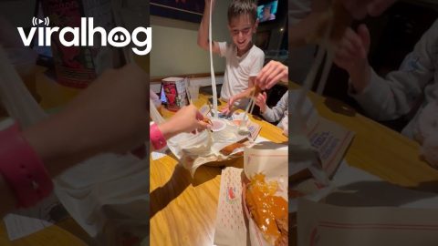 Epic Cheese Pull || ViralHog