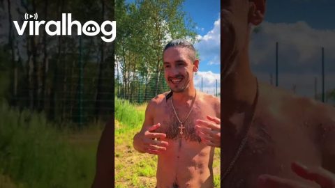 Man Plays With His Pet Bear || ViralHog