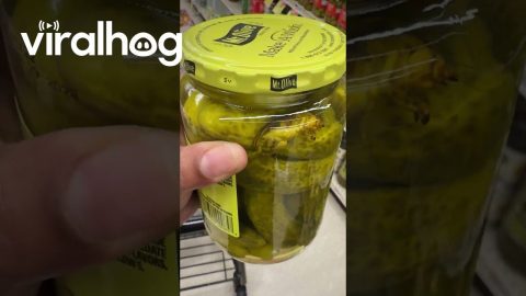 Pickled Cricket || ViralHog
