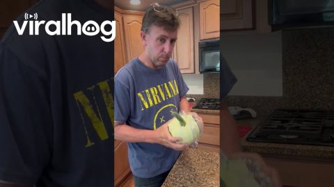 Witch Pumpkin Mold || ViralHog