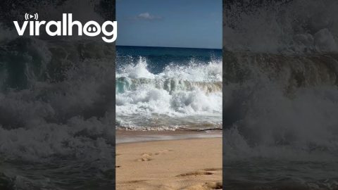 Man Gets Twice Slammed By Ocean Waves || ViralHog