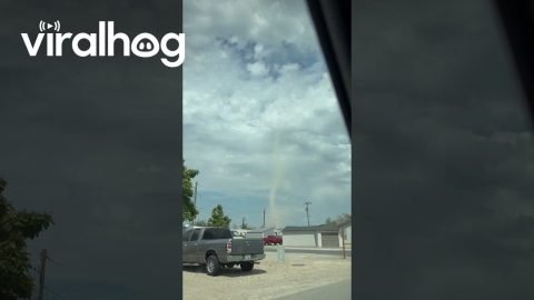 Large Dust Devil in My Area || ViralHog