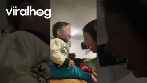 Kiddo Belly Laughs at Sour Peanuts || ViralHog