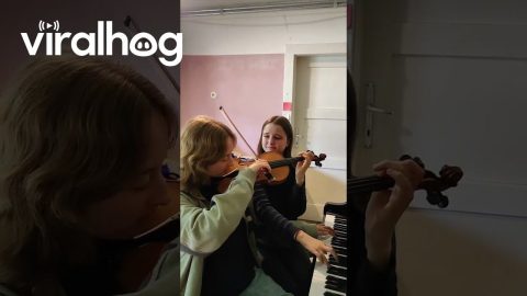Multitasking Musicians Simultaneously Share Instruments || ViralHog