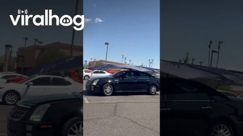 Car Umbrella Keeps Interior Cool || ViralHog