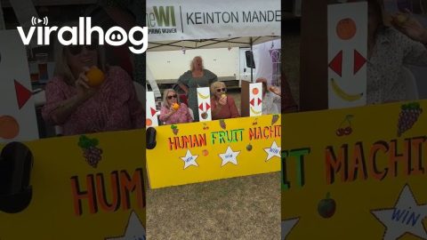 Human Fruit Machine || ViralHog