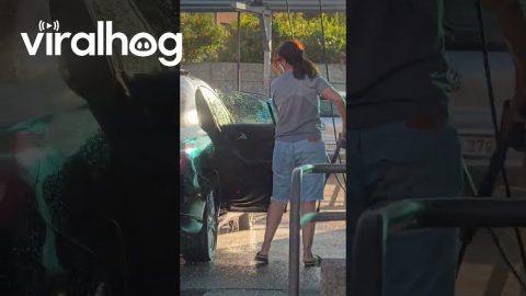 Car Interior Gets Pressure Washed || ViralHog