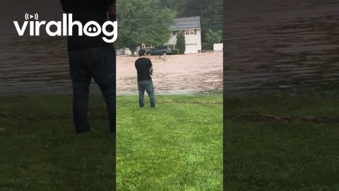 Fishing in a Flash Flood || ViralHog