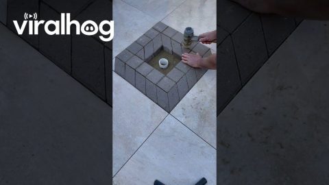3D Paving Pattern || ViralHog