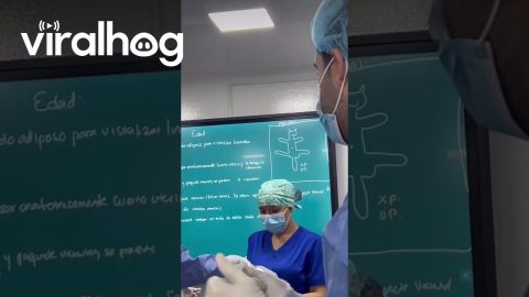 Surgical Artists || ViralHog