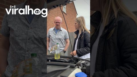 Sunflower Oil In The Car Winds Dad Up || ViralHog