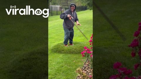 Grass Water Bubble || ViralHog