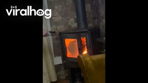 Firewood That'll Last || ViralHog