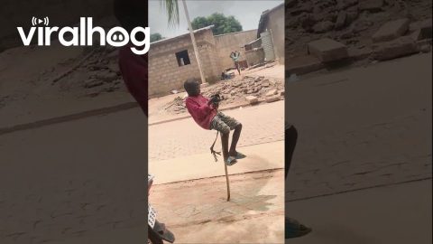 Traditional Dance in Parakou, Benin || ViralHog