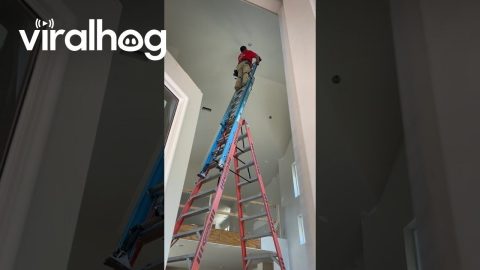 Ladder Ratcheted To Other Ladder || ViralHog