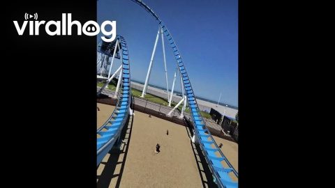 Man Hit by Seagull on Roller Coaster || ViralHog