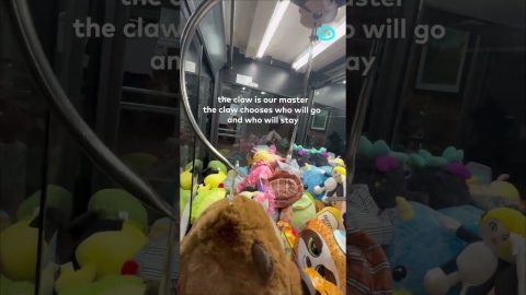 Claw Machine Game Doesn't Let Go || ViralHog Shorts