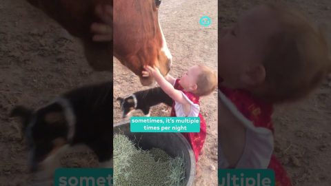 Kiddo Gives Good Night Kisses to Her Horses || ViralHog Shorts