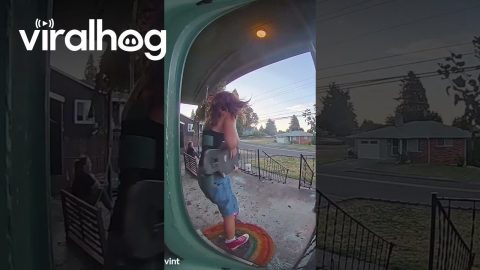 Porch Swing Rips From Ceiling || ViralHog