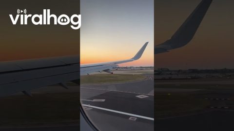 Beautiful Sunset And Smooth Airplane Landing || ViralHog