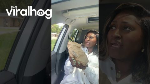 Hungry Ostrich || ViralHog