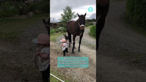Little Girl Leads Horse || ViralHog Shorts