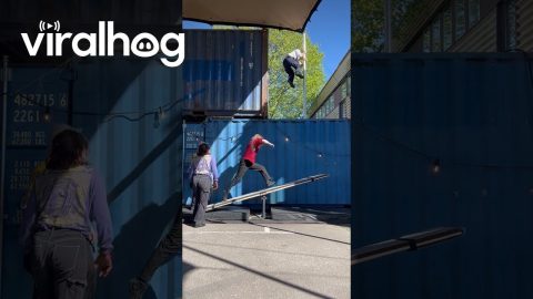 Circus Acrobats Practice Teeterboard Tricks || ViralHog